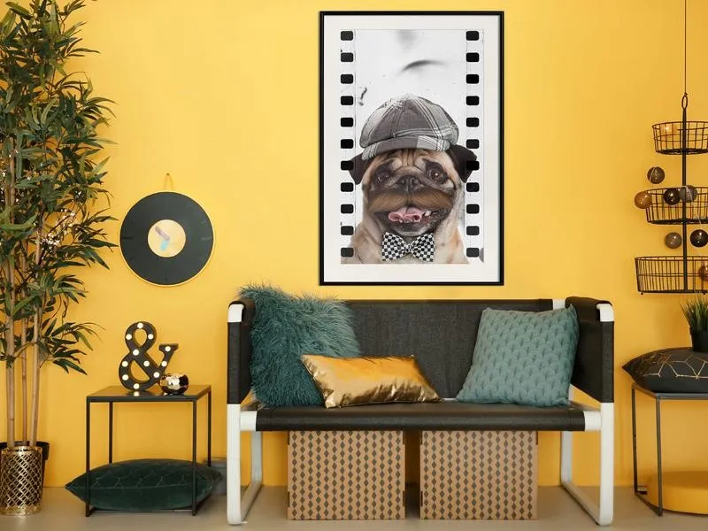 Dressed Up Pug Poster