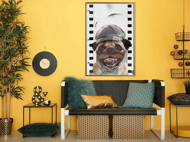 Dressed Up Pug Poster