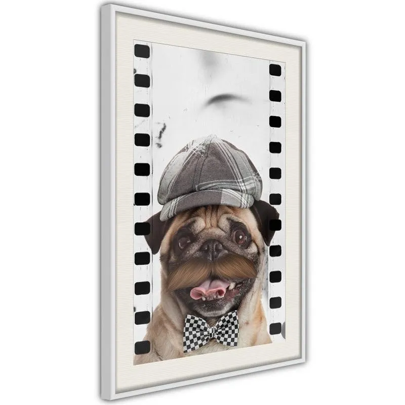 Dressed Up Pug Poster