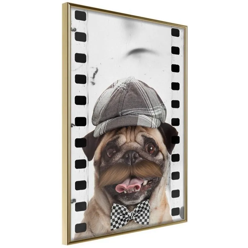 Dressed Up Pug Poster