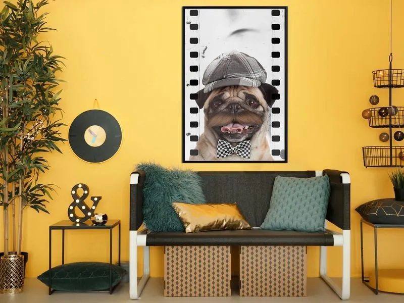 Dressed Up Pug Poster