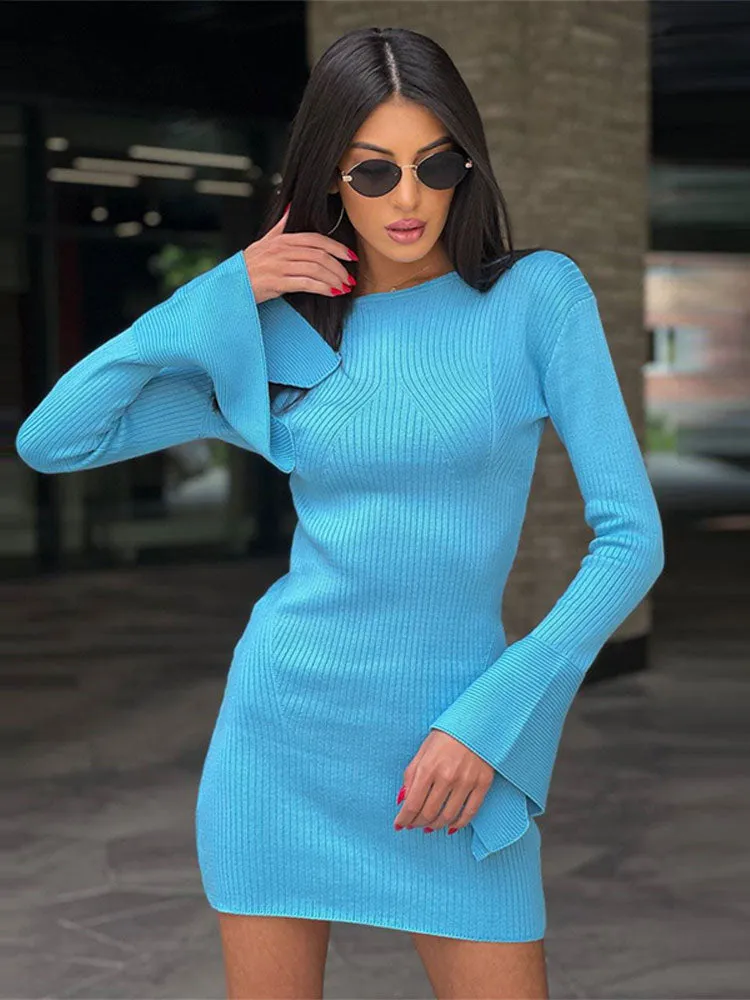 Elegant Flare Long Sleeve Knitwear Mini Dress